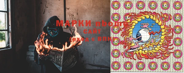 прущие грибы Алексин