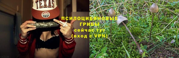 a pvp Абаза