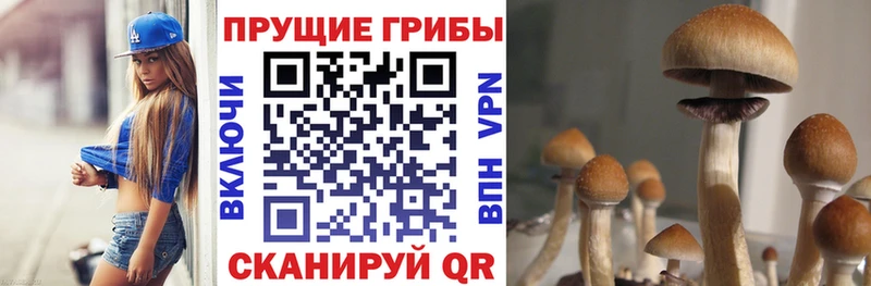 Псилоцибиновые грибы Cubensis  Разумное 